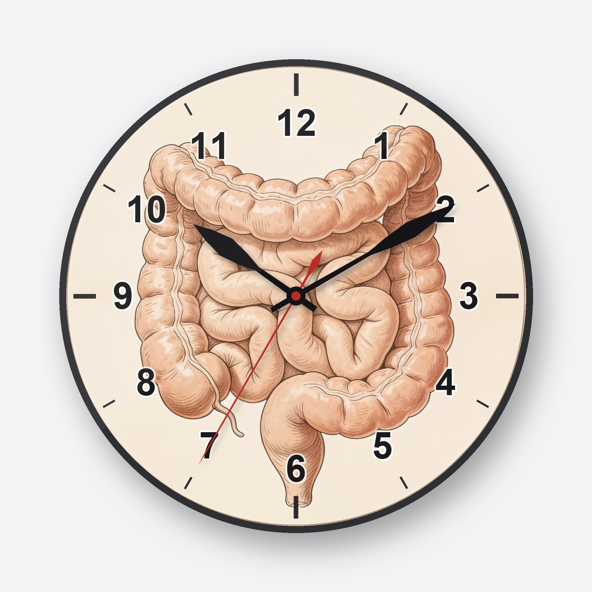 Intestines Wall Clock My Wall Clock