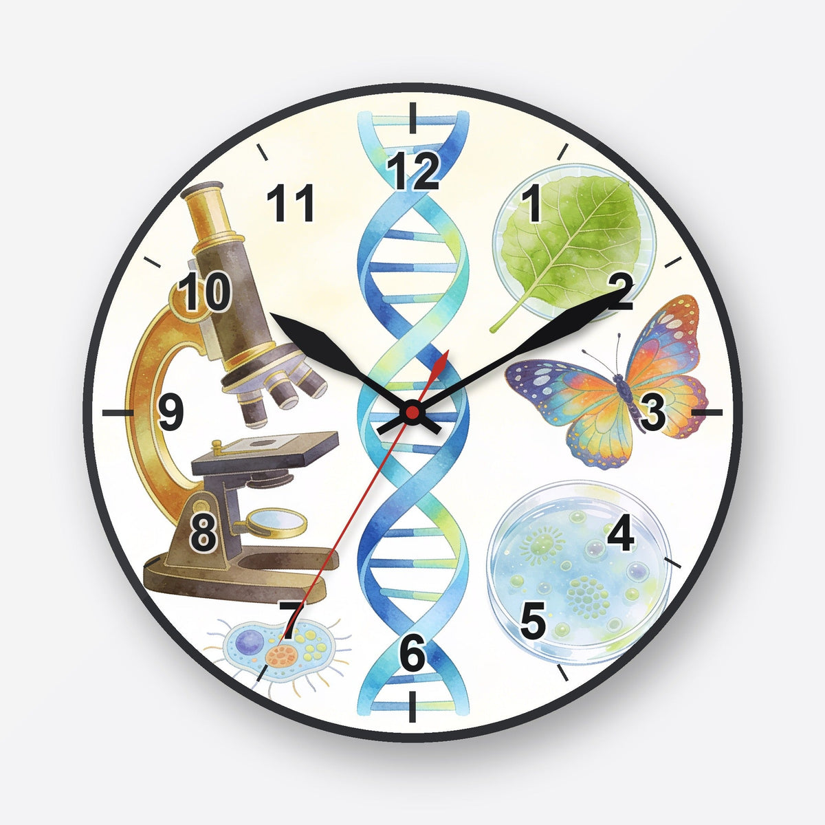 Biology Wall Clock My Wall Clock