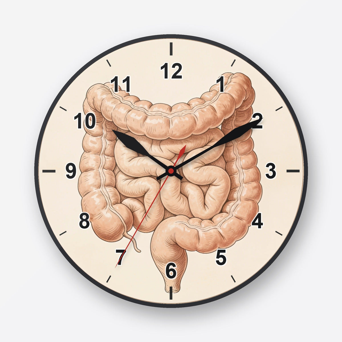 Intestines Wall Clock My Wall Clock