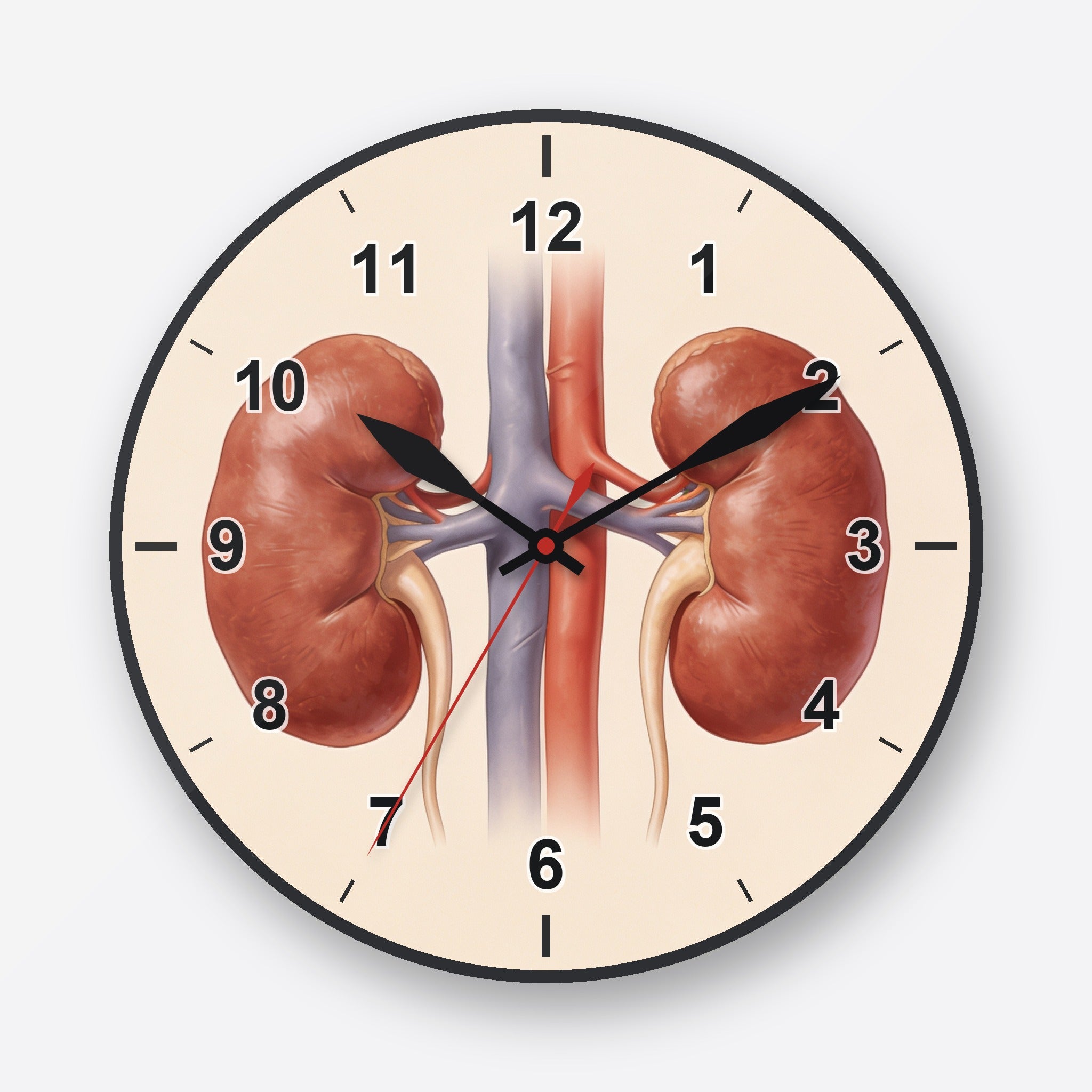 Kidneys Wall Clock My Wall Clock
