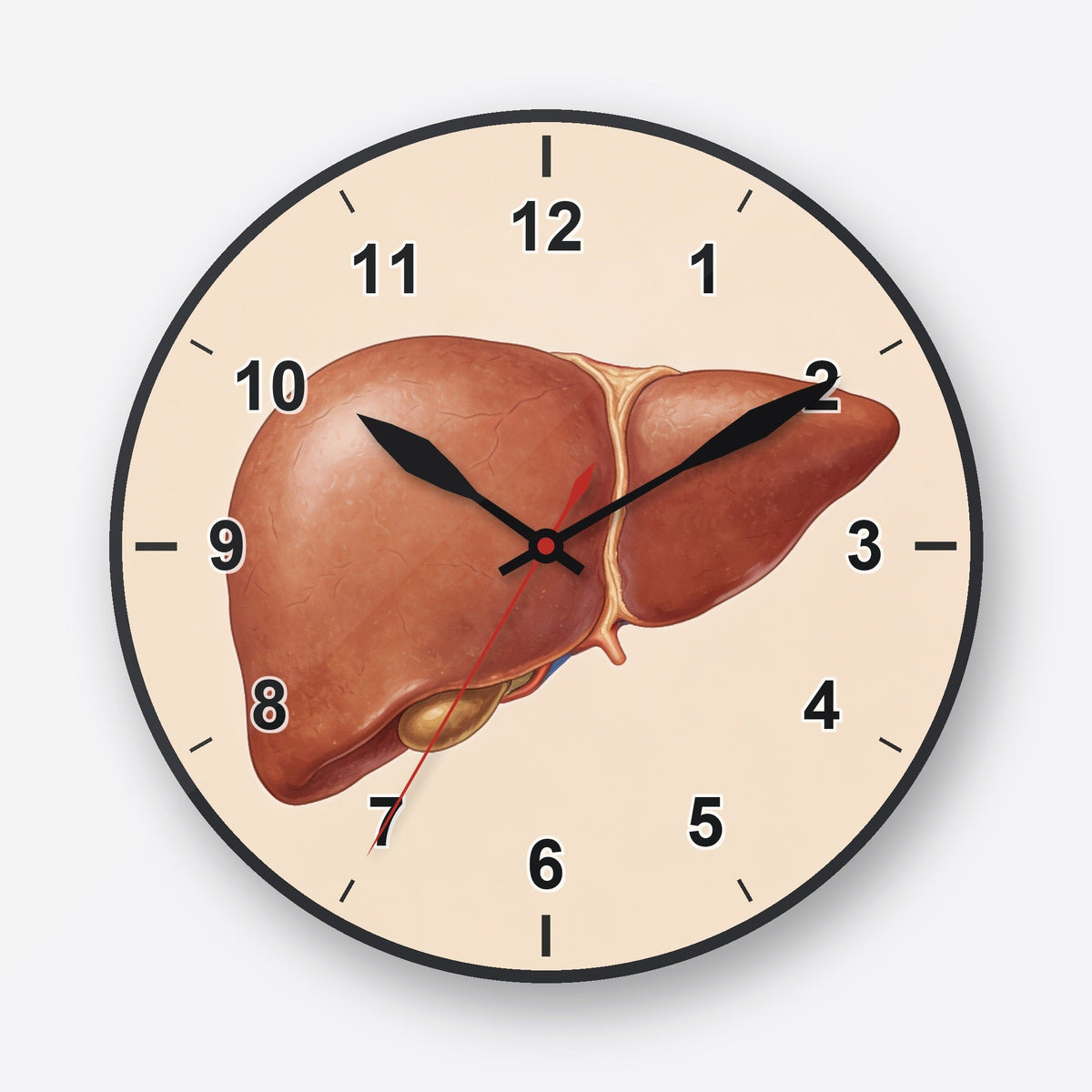 Liver Wall Clock My Wall Clock