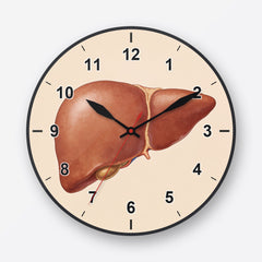 Liver Wall Clock My Wall Clock