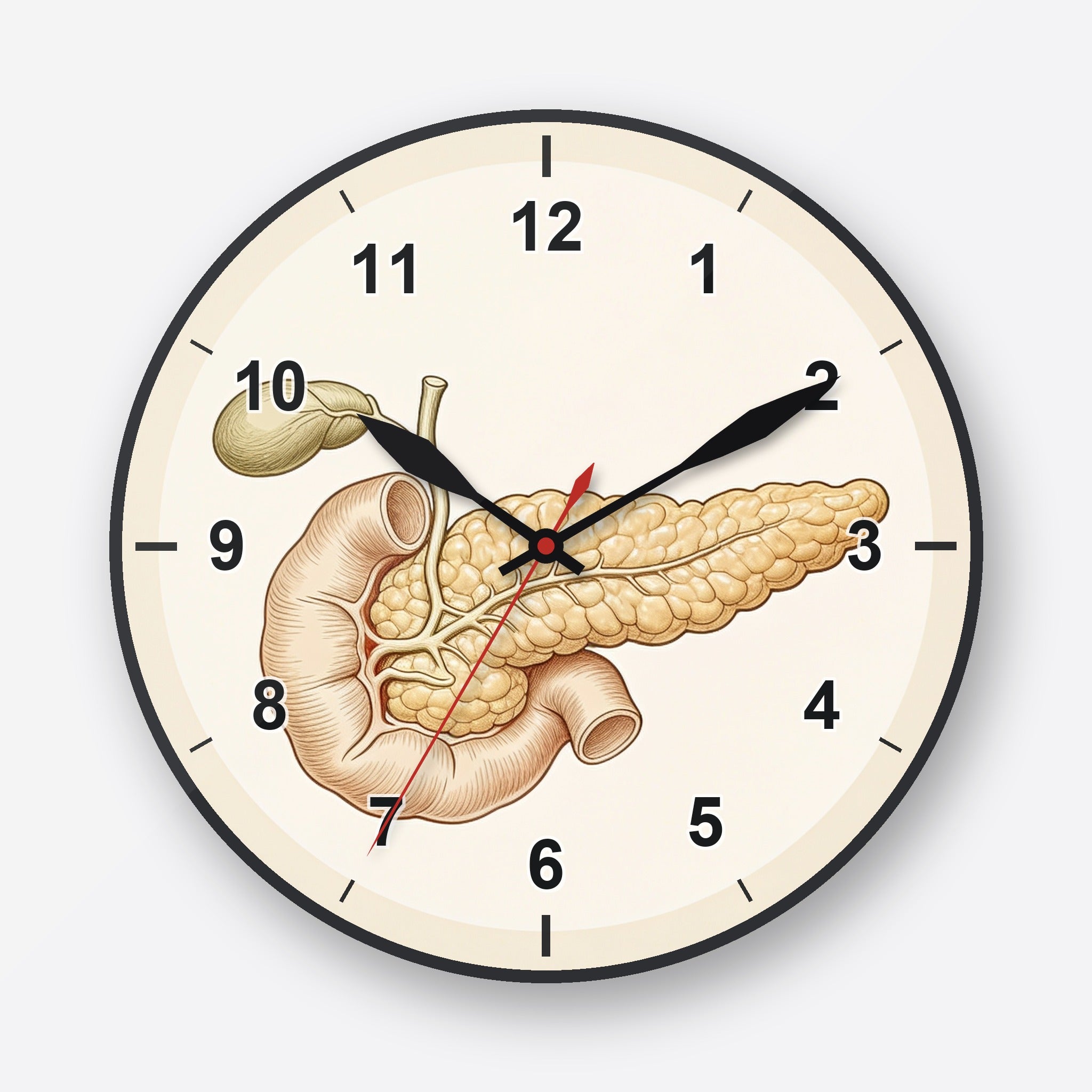 Pancreas Wall Clock My Wall Clock