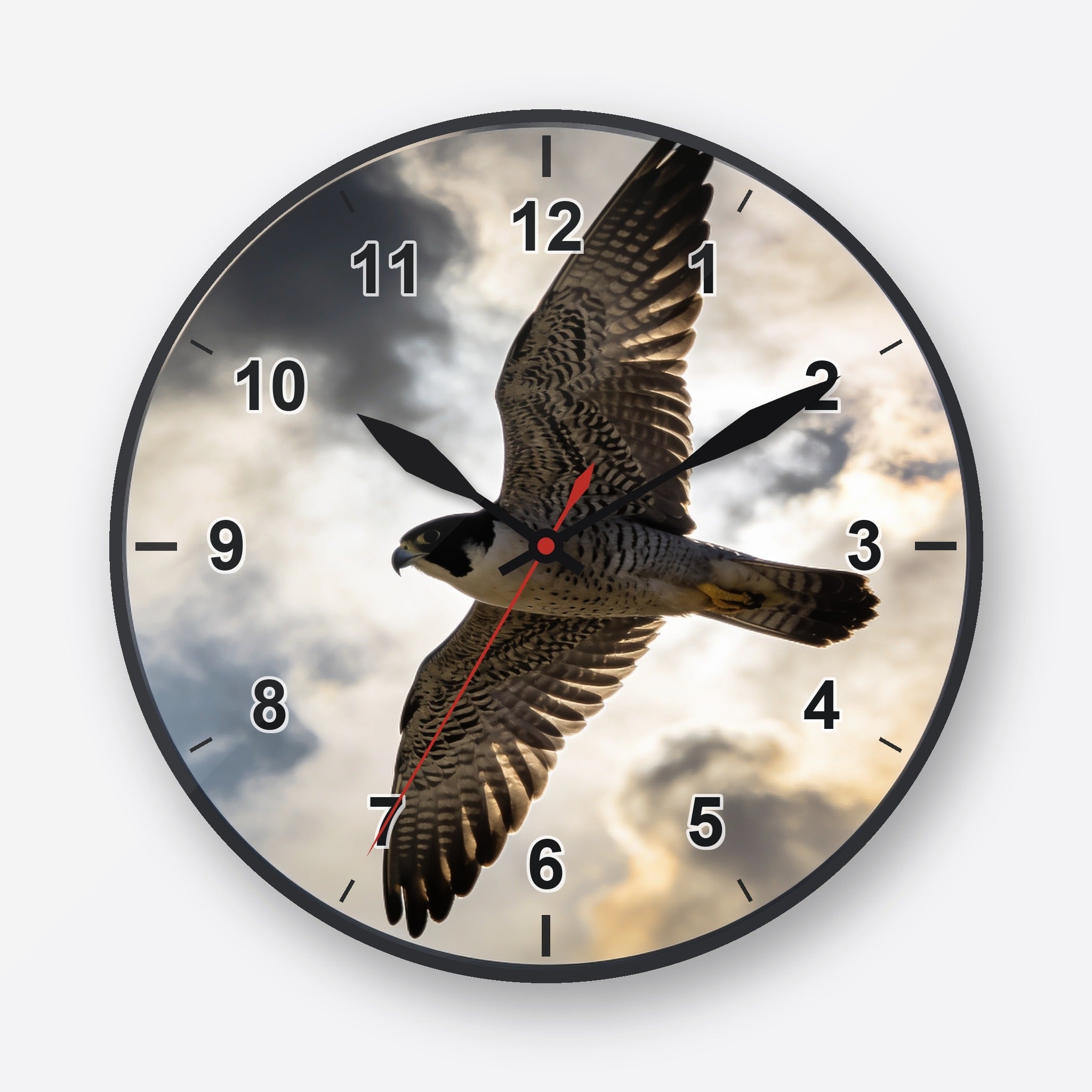 Peregrine Falcon Wall Clock My Wall Clock