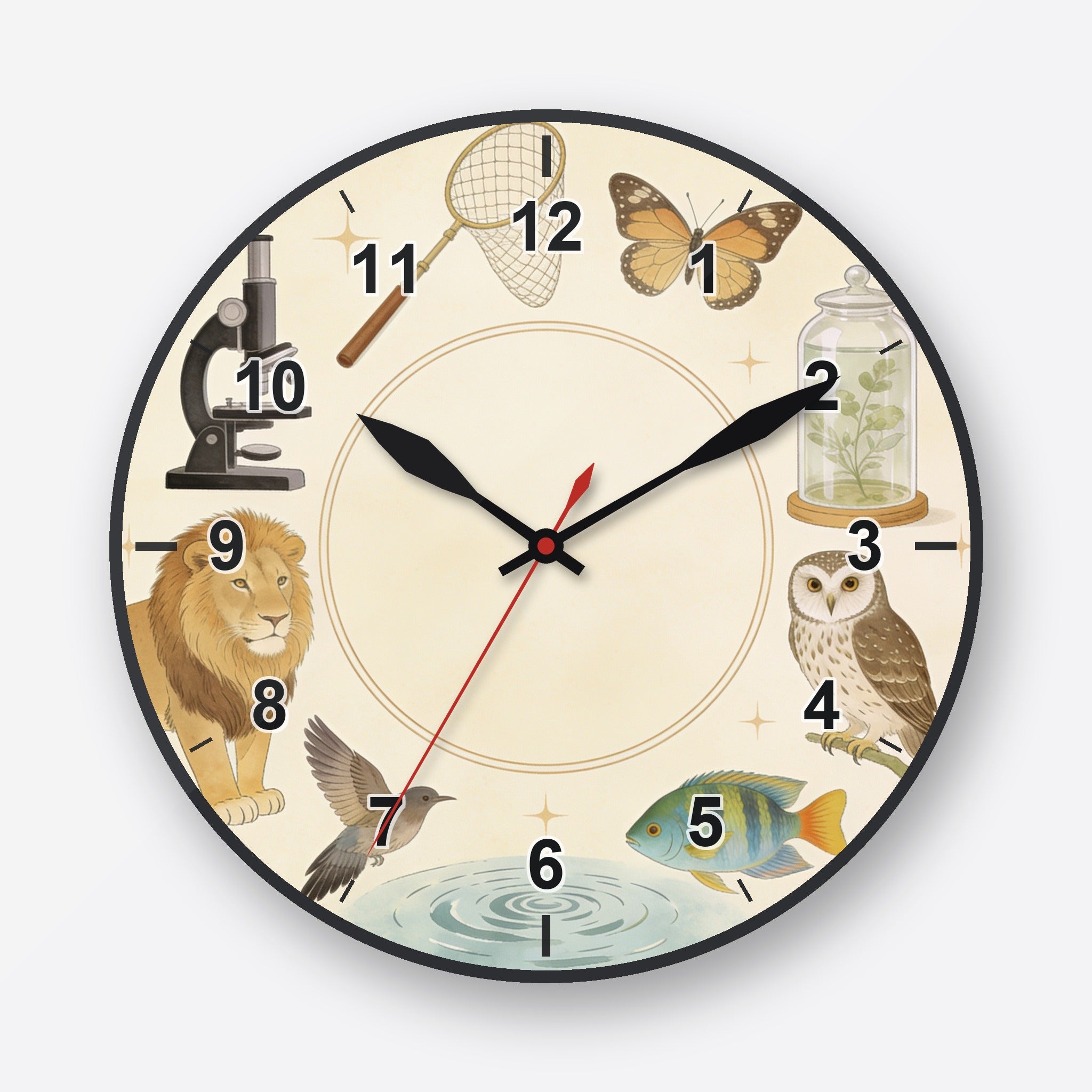 Zoology Wall Clock My Wall Clock