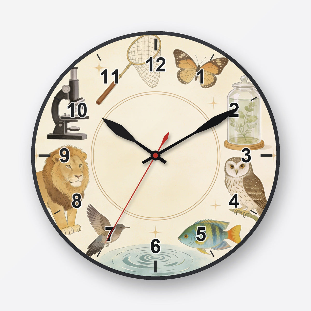 Zoology Wall Clock My Wall Clock